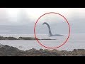 5 SEA SERPENT CAUGHT ON CAMERA