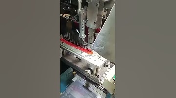 High-Speed 4-Axis 2-Head Tufting Machine — Plastic Broom（double-color）  双色四轴植刷机