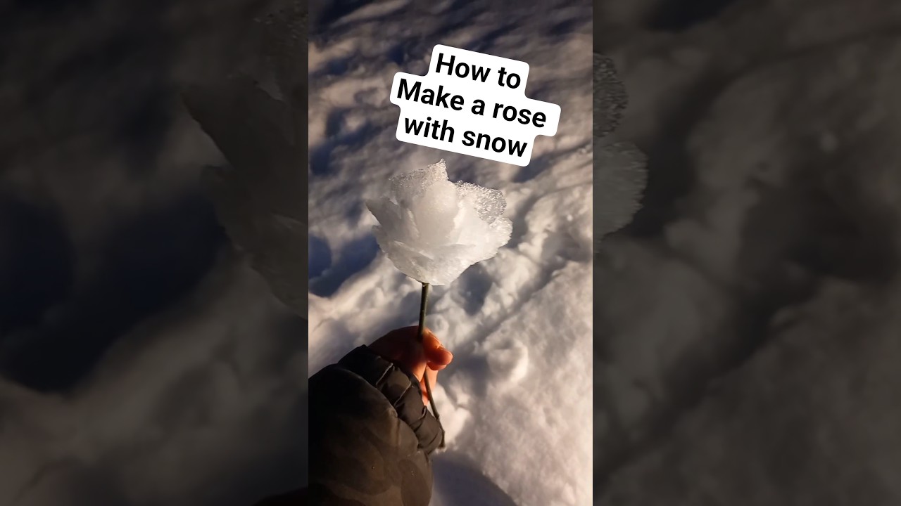 How To Make A Rose With Snow 