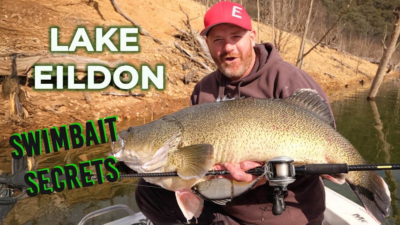 Swimbaiting Lake Eildon Murray Cod Lure and Tackle Theory Unlocked
