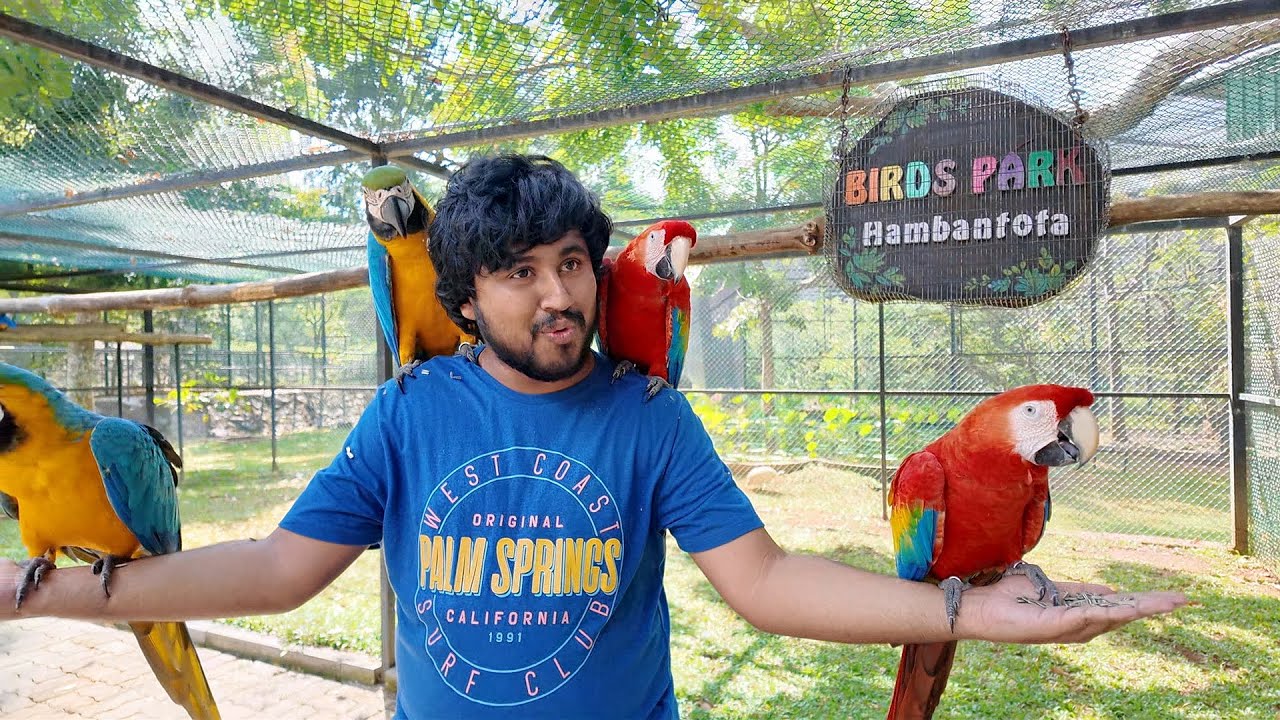 Day 291 : හම්බන්තොට ගිහින්