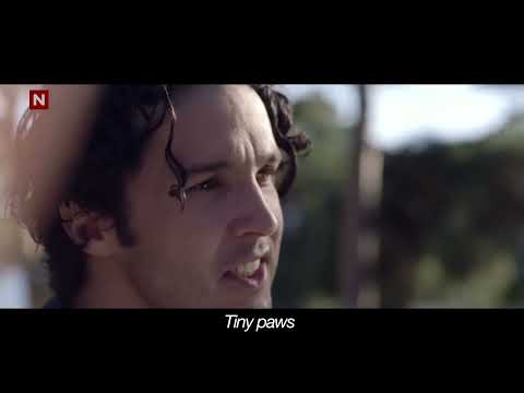 Ylvis The Fox What Does Say Official Music Video HD 