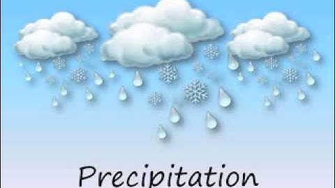 Thumbnail of Precipitation
