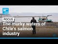 The murky waters of Chile's salmon industry • FRANCE 24 English