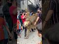 Simba ko kya hogya🥹💔pleased come back🥹💔 #love #petlover #lion #wildlife #wildcats #ytshorts #sad