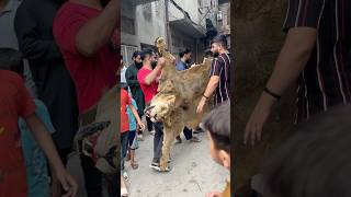 Simba Ko Kya Hogyapleased Come Back