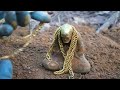 I found a golden Buddha statue and gold ornaments while hunting for treasure in the jungle