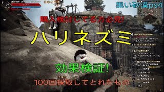 【黒い砂漠ps4】ハリネズミ効果検証!! 購入検討してる方必見! Black Desert 2019.9 screenshot 5