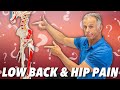 Low Back & Hip Pain? Is it Nerve, Muscle, or Joint? How to Tell.