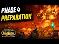 Preparation For Phase 4 | Season of Discovery