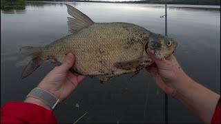 видео: Осінні судаки та окуні 🎣🍂 | І ще неочікуваний трофей на GAMAKATSU LUXXE YOIHIME SOU S63UL-SOLID 🐟🏆 картинка: Осінні судаки та окуні 🎣🍂 | І ще неочікуваний трофей на GAMAKATSU LUXXE YOIHIME SOU S63UL-SOLID 🐟🏆