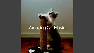 Vibrant Ambience for Cute Cats
