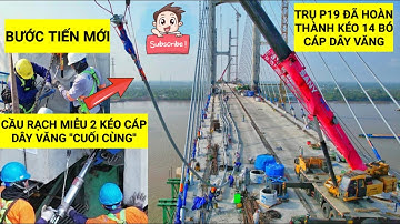 Thành Tựu Mới: Xuất Sắc Hoàn Thành Kéo 14 Cáp Dây Văng Trên Trụ Tháp P19 - Cầu Rạch Miễu 2