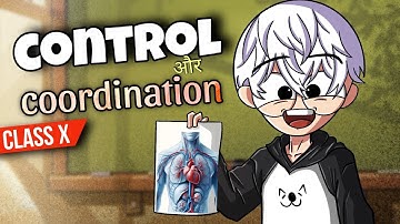 Control and Coordination Class 10 ( Animation ) in One Shot | Class 10 Control and Coordination