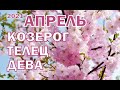 КОЗЕРОГ,ТЕЛЕЦ,ДЕВА !♑♉♍ТАРО-ПРОГНОЗ на АПРЕЛЬ 2021г. Гадание Таро