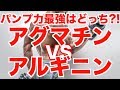 【特徴を徹底比較!!】アグマチン VS アルギニン.NO系/パンプ力最強はどっち?!