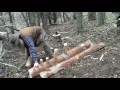 Primitive Splitting A Board Off A Log In The Woods. Primitive Splitting A Board Off A Log In The Woods.