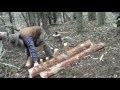 Primitive Splitting A Board Off A Log In The Woods.