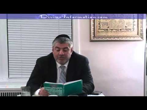 פרשת חוקת פרה אדומה, צער בעלי חיים, מי מריבה, 7 מצות בני נח, רוצחים עם מקלדת, ועוד