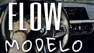 Aleee Oficial - Flow Modelo
