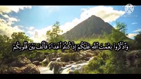 آيات بينات من الذكر الحكيم "آل عمران" بصوت الطالب أويس عبدالمجيد