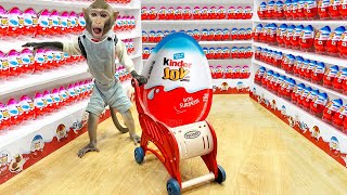 Bim Bim Monkey  Go Shopping Kinder Joy Eggs At Supermarket And Opens A Rainbow Egg Containing Toys