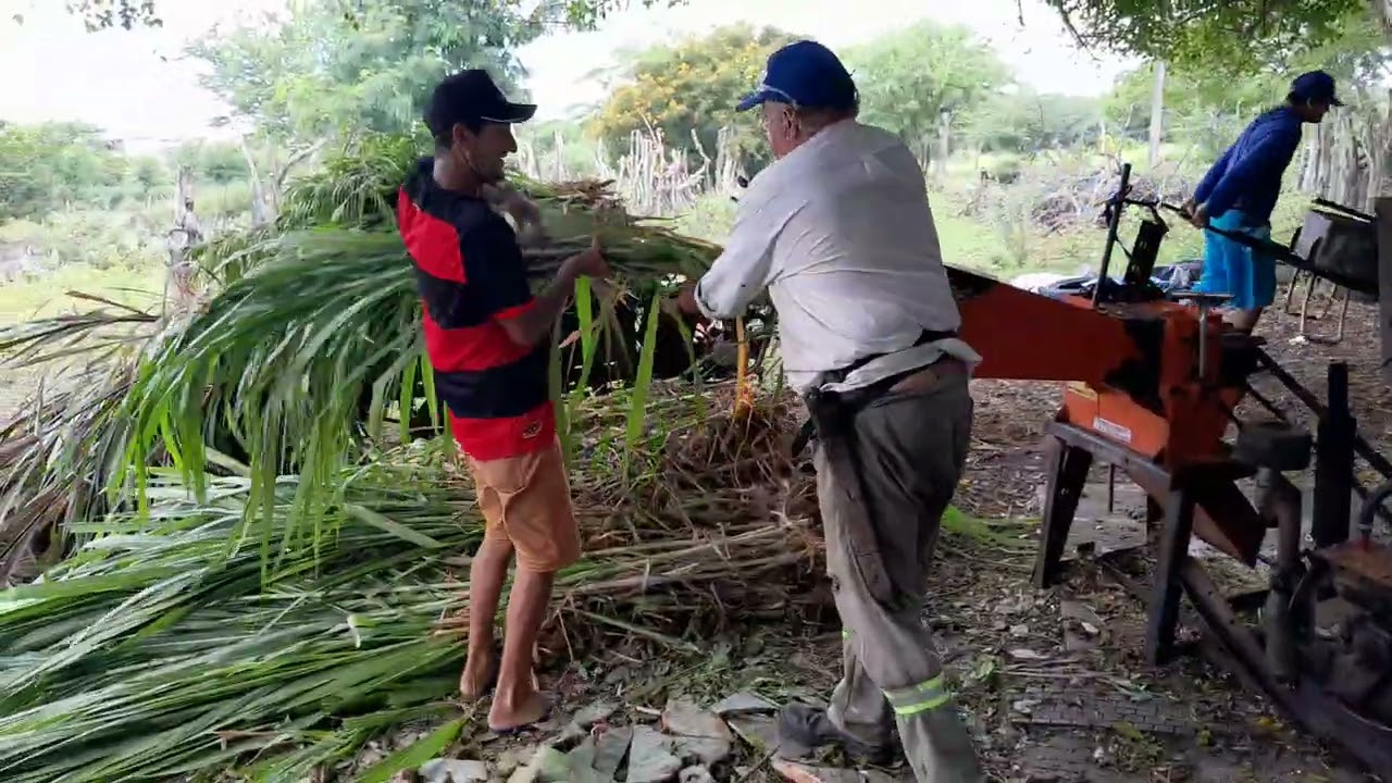 Benedito moendo ração mas seu amigo enock Pereira oficial.