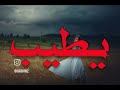 نصرت بدر جذاب ابن جذاب يلي يكلك انسى جرح الطير يرجع نفسه