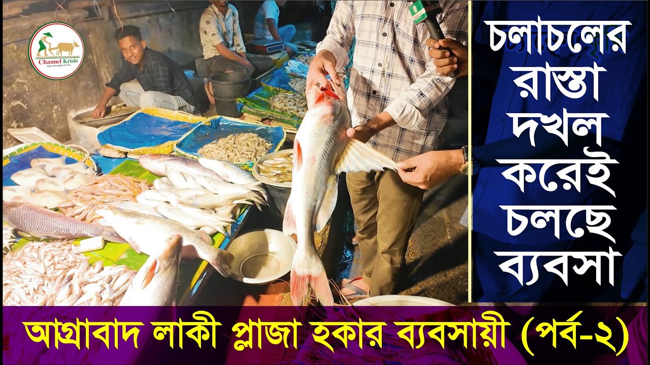 Lucky Plaza | হকার ব্যবসায়ী | সব্জি বাজার | Part-2 | Vegetable | Agrabad | CTG | Channel Krishi.