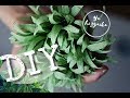 Зелень 🌿 из гофрированной бумаги для букетов из конфет. DIY💡. Подходит для любых букетов👌🏻👍🏻