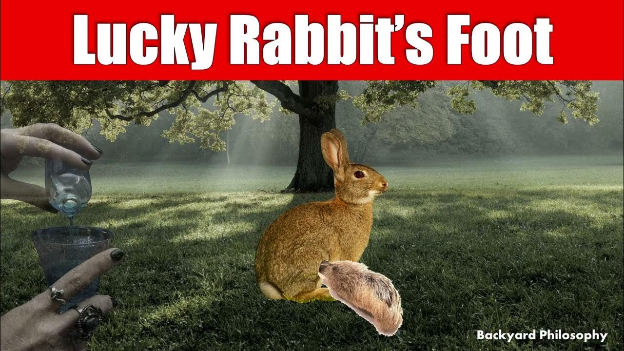 Where Lucky Rabbit's Foot Comes From YouTube