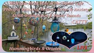 051726 EVENING/DINNER STREAM BIRDS SQUIRRELS WATER SOUNDS & WINDCHIMES RELAXING CALM, PEACEFUL #ASMR