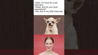 Ginger reacts no.11 #shorts #memes #humour #funny #jokes