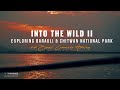 INTO THE WILD II :  Barauli Community Homestay and Chitwan National Park   , Nawalparasi