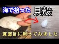【職人】友達と海で拾った貝殻を今度は真面目な雰囲気でジュエリー作りを目指します