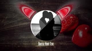 ❤❤❤Bheege Hont Tere❤❤❤ (Remixed By Rayshan & DjBoye)