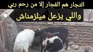 نصيحة لوجة الله وخد الخلاصة في كل عروض المواشي اللي بتتقدملك علي اليوتيوب