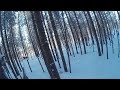 Охота на лосей с подхода  | Moose hunting