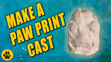 Making a Paw Print Cast