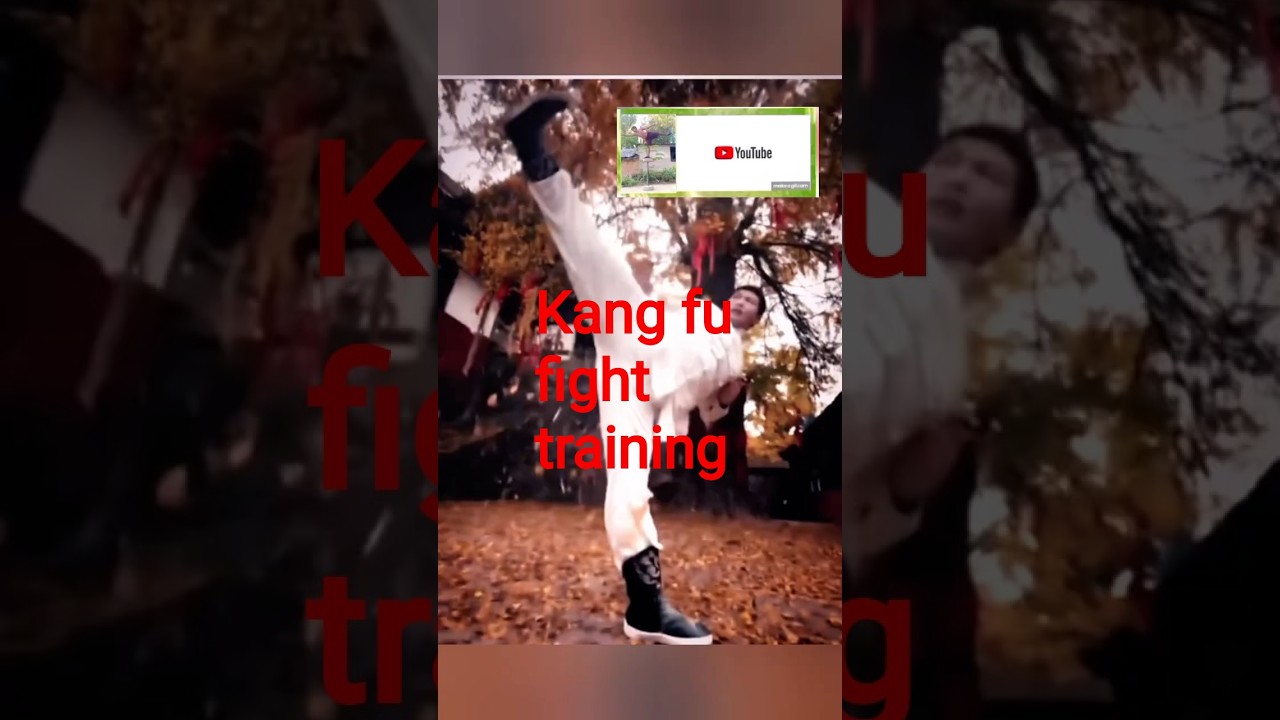 Kung Fu Attack Training | Powerful Shadow Fight Techniques | Self Defense Skills 