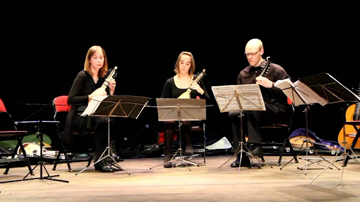 Gigue by Sylvius Leopold Weiss on baroque mandolins