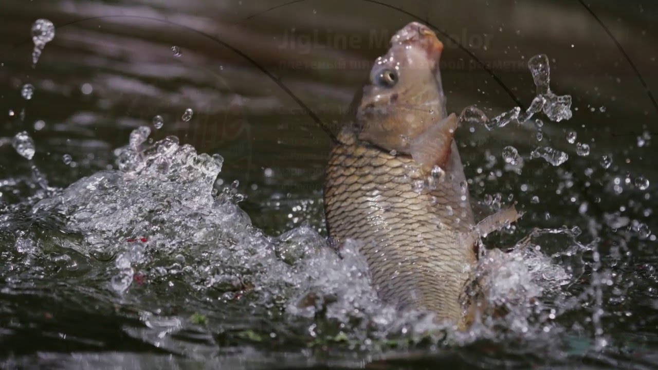 Плетёный шнур с цветовой разметкой JigLine MultiColor