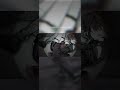 うみたがり/covered by IMI