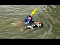 A boy rescues a dog in the river, but ends up deeply regretting it.