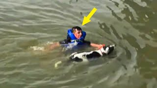 A boy rescues a dog in the river, but ends up deeply regretting it.