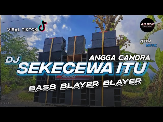 DJ SEKECEWA ITU x WEJANGAN BASS BLAYER BLAYER || TRAP x PARTY TERBARU class=