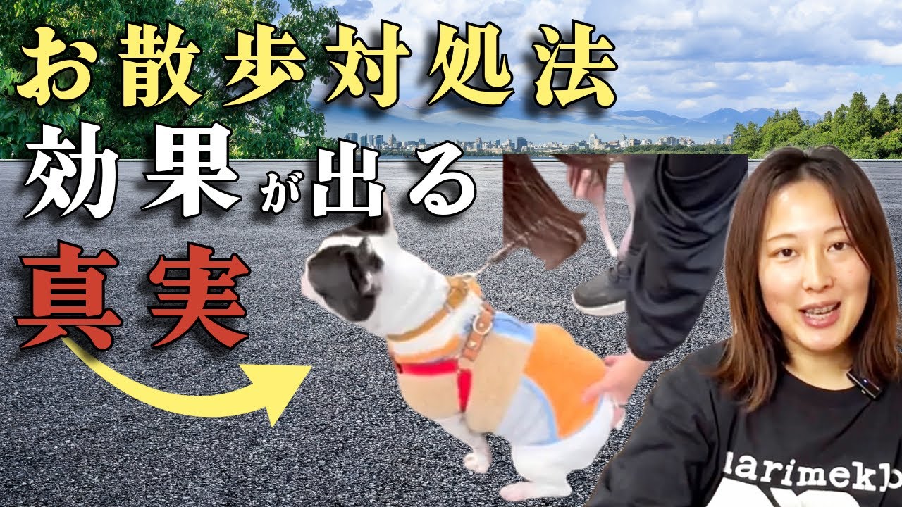 【知らないと損！】対処法によって変わるしつけの効果とは？