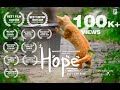 HOPE Award Winning Malayalam Short Film | Pendulum Films | 2018 |