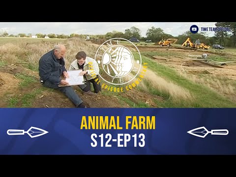 Time Team Commentary: 'Animal Farm' | S12E13