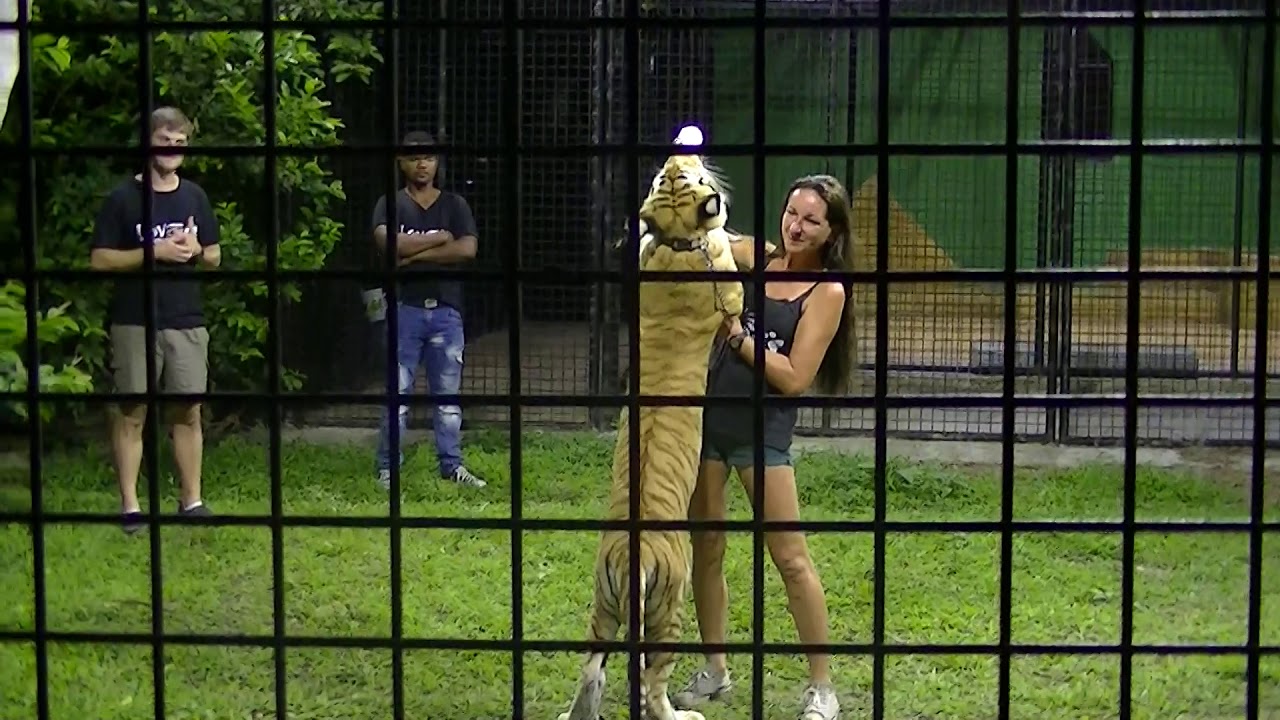 Cheetah's Rock Tiger Enclosure - Zanzibar